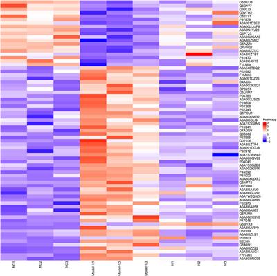 LC-MS/MS-based metabolomics and proteomics reveal the intervention of Kangnian decoction on the postoperative intestinal adhesion of rats